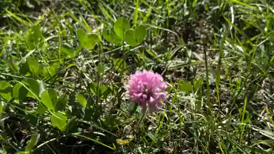 磐神社(岩手県)