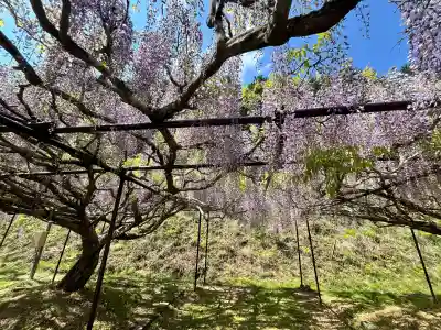 天台宗 五大山 白毫寺(兵庫県)