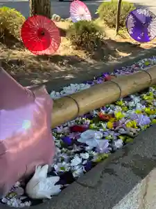 群馬県護国神社(群馬県)(2026年03月14日(土) 17時12分03秒投稿)