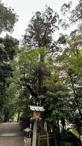 石上神宮(奈良県)