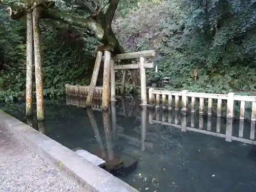 鹿島神宮の庭園