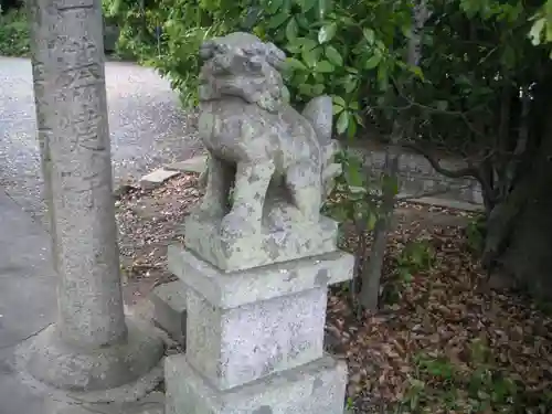 坂本神社の狛犬