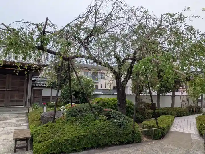 西蓮寺(東京都)