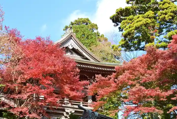 高尾山薬王院(東京都)