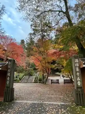 今熊野観音寺の山門・神門
