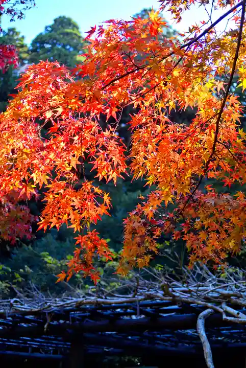鹿島神宮(茨城県)
