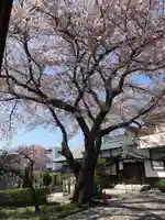 福全院(東京都)