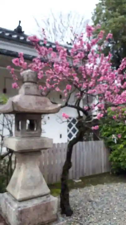 御香宮神社(京都府)