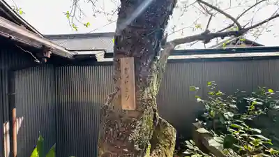 雨宝院(京都府)