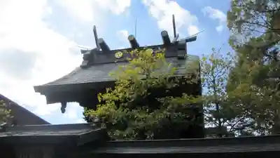 松戸神社(千葉県)