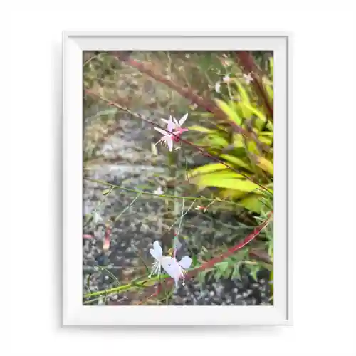 寳生院(東京都)