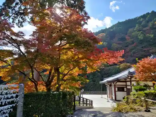 善峯寺(京都府)