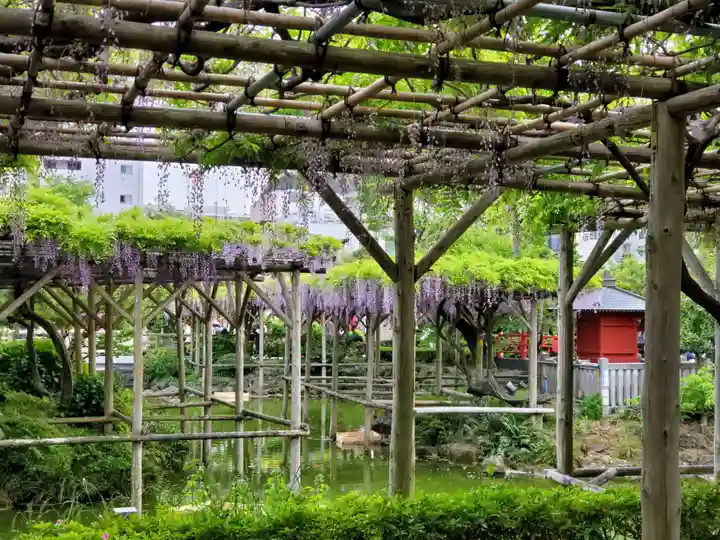 亀戸天神社(東京都)
