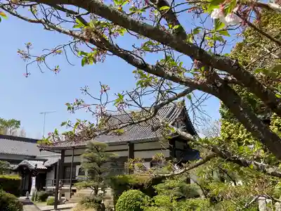 横蔵寺(兵庫県)