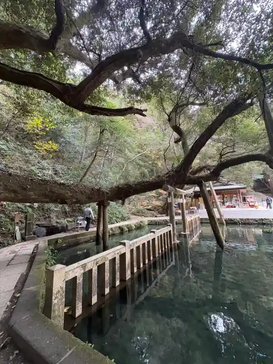 鹿島神宮(茨城県)
