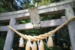 間々田八幡宮の鳥居