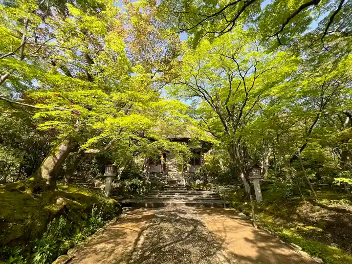 常寂光寺(京都府)