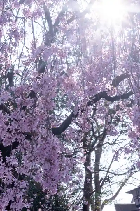 水火天満宮(京都府)