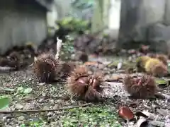 木舟山　順教寺(広島県)