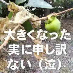 七重浜海津見神社(北海道)