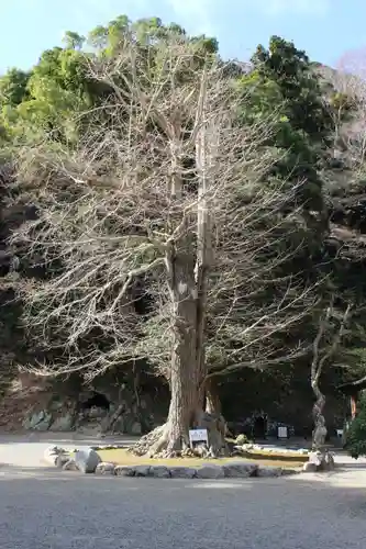 安房神社(千葉県)
