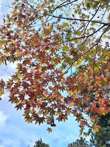 鹿島大神宮(福島県)