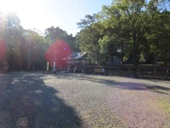 闘鶏神社の本殿・本堂