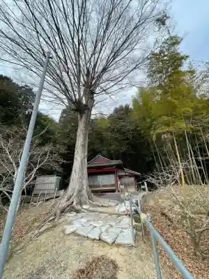 朝口観音堂の{uncategorized: "未分類", other: "その他", undefined: "問題あり", building: "その他建物", grave: "お墓", sacred_gate: "鳥居", guardian: "狛犬", statue: "像", buddha: "仏像", history: "歴史", nature: "自然", garden: "庭園", animal: "動物", pagoda: "塔", temizu: "手水舎", mountain_gate: "山門・神門", sanctuary: "本殿・本堂", subordinate: "末社・摂社", art: "芸術", scenery: "景色", jizo: "地蔵", ema: "絵馬", goshuin: "御朱印", omikuji: "おみくじ", items: "授与品その他", amulet: "お守り", goshuincho: "御朱印帳", eats: "食事", festival: "お祭り", votive_dance: "神楽", shichigosan: "七五三参", wedding: "結婚式", experience: "体験その他", initially: "初詣", around: "周辺", anti_infection: "感染症対策"}