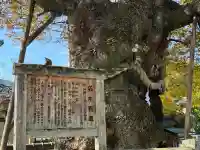 中山神社(岡山県)