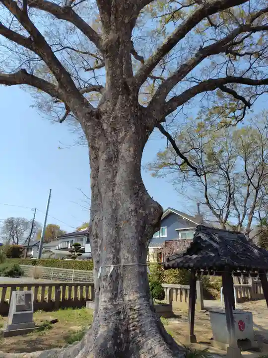 八坂神社 (埼玉県)