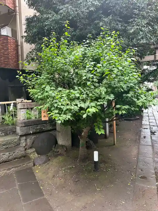 小野照崎神社(東京都)