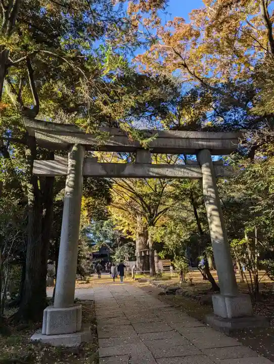 赤坂氷川神社(東京都)