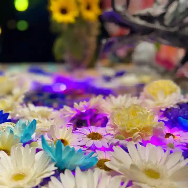 札幌諏訪神社の手水舎