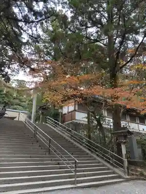 大神神社(奈良県)