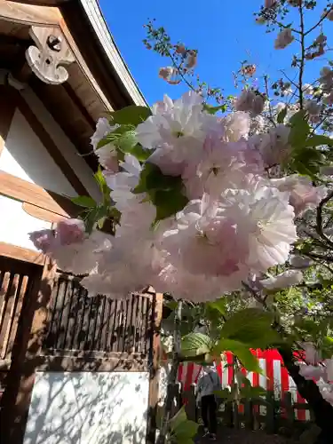 平野神社(京都府)