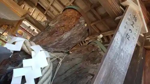 松尾大社の自然