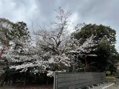 聖神社(大阪府)