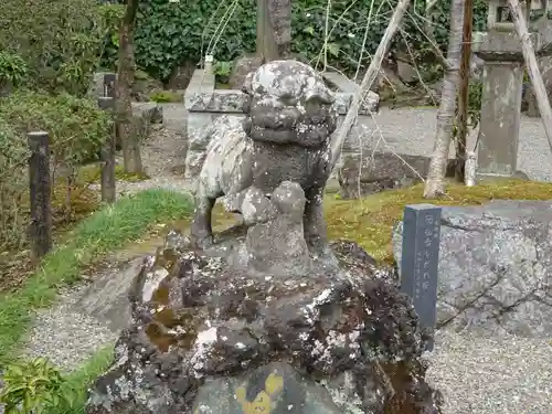 貫井神社の狛犬