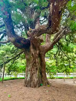 建長寺(神奈川県)