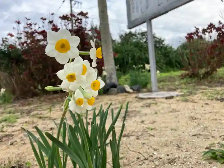 岬大明神の自然