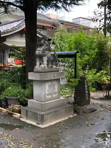 今戸神社の狛犬