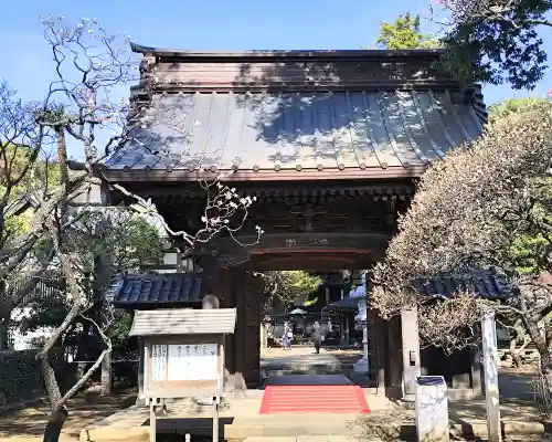 三寳寺の{uncategorized: "未分類", other: "その他", undefined: "問題あり", building: "その他建物", grave: "お墓", sacred_gate: "鳥居", guardian: "狛犬", statue: "像", buddha: "仏像", history: "歴史", nature: "自然", garden: "庭園", animal: "動物", pagoda: "塔", temizu: "手水舎", mountain_gate: "山門・神門", sanctuary: "本殿・本堂", subordinate: "末社・摂社", art: "芸術", scenery: "景色", jizo: "地蔵", ema: "絵馬", goshuin: "御朱印", omikuji: "おみくじ", items: "授与品その他", amulet: "お守り", goshuincho: "御朱印帳", eats: "食事", festival: "お祭り", votive_dance: "神楽", shichigosan: "七五三参", wedding: "結婚式", experience: "体験その他", initially: "初詣", around: "周辺", anti_infection: "感染症対策"}