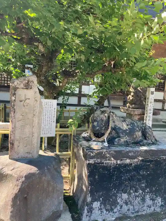 八幡神社の狛犬