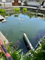 誉田八幡宮(大阪府)