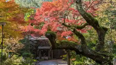 神藏寺(京都府)