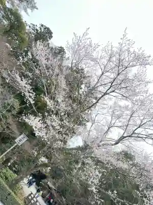伊勢神宮内宮（皇大神宮）の{uncategorized: "未分類", other: "その他", undefined: "問題あり", building: "その他建物", grave: "お墓", sacred_gate: "鳥居", guardian: "狛犬", statue: "像", buddha: "仏像", history: "歴史", nature: "自然", garden: "庭園", animal: "動物", pagoda: "塔", temizu: "手水舎", mountain_gate: "山門・神門", sanctuary: "本殿・本堂", subordinate: "末社・摂社", art: "芸術", scenery: "景色", jizo: "地蔵", ema: "絵馬", goshuin: "御朱印", omikuji: "おみくじ", items: "授与品その他", amulet: "お守り", goshuincho: "御朱印帳", eats: "食事", festival: "お祭り", votive_dance: "神楽", shichigosan: "七五三参", wedding: "結婚式", experience: "体験その他", initially: "初詣", around: "周辺", anti_infection: "感染症対策"}