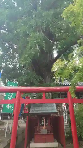 大福田寺(三重県)