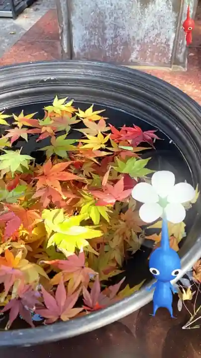 法輪寺の手水舎