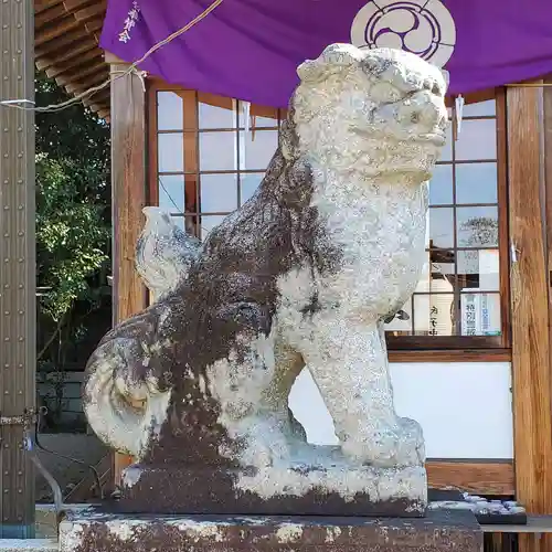 平井神社の狛犬