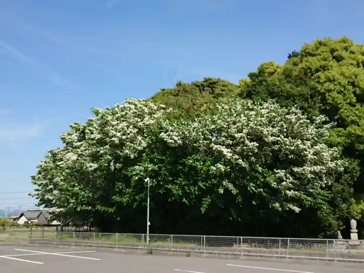 善国寺(愛知県)